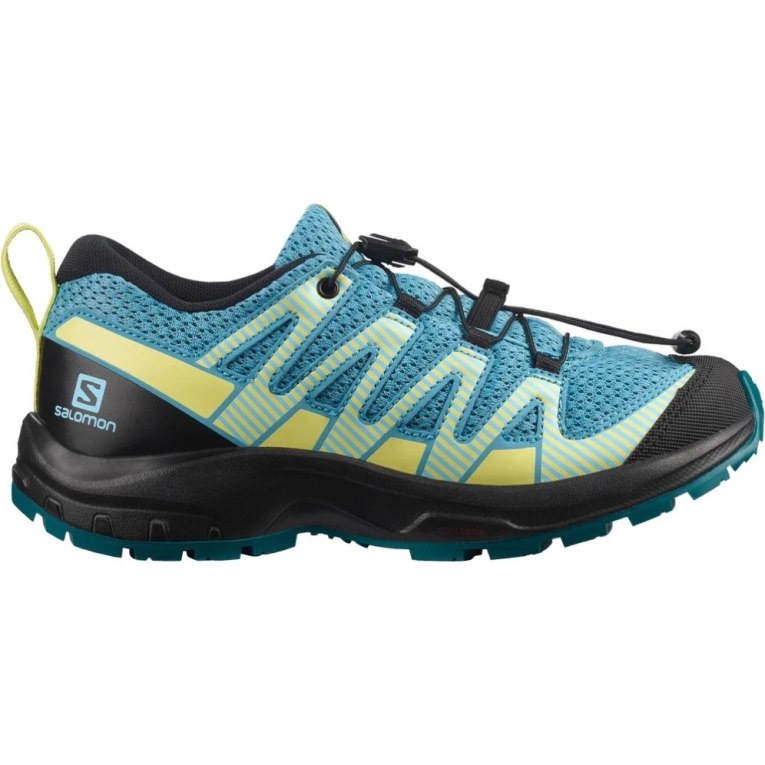 Turquoise Salomon Xa Pro V8 Kids\' Hiking Shoes | IE VT5612